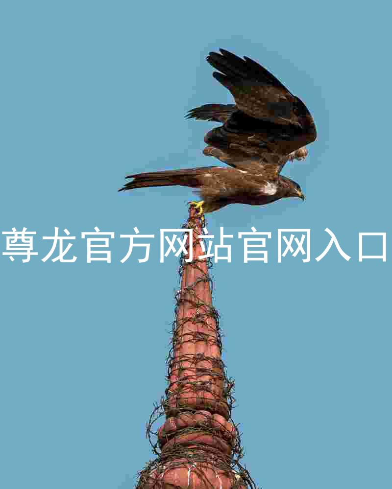 尊龙官方网站官网入口