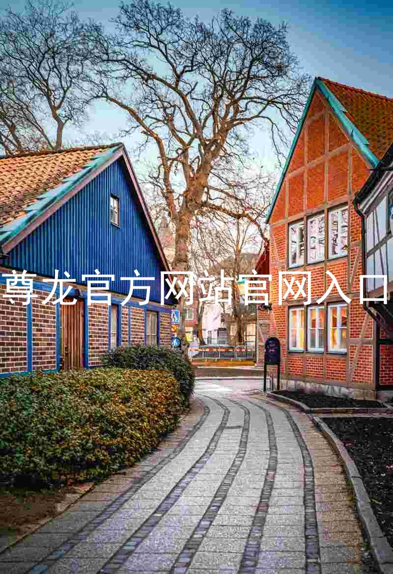 尊龙官方网站官网入口