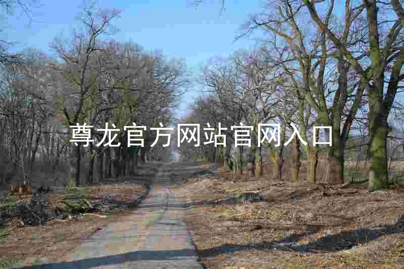 尊龙官方网站官网入口