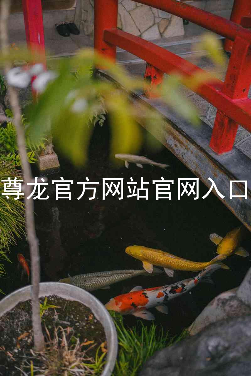 尊龙官方网站官网入口
