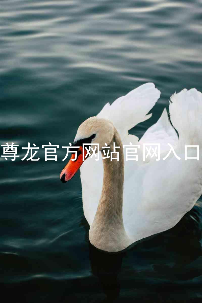 尊龙官方网站官网入口