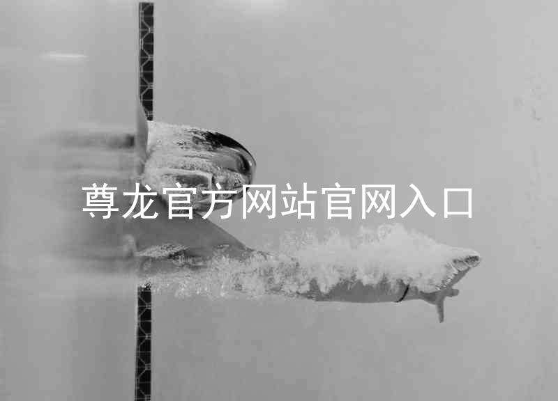 尊龙官方网站官网入口