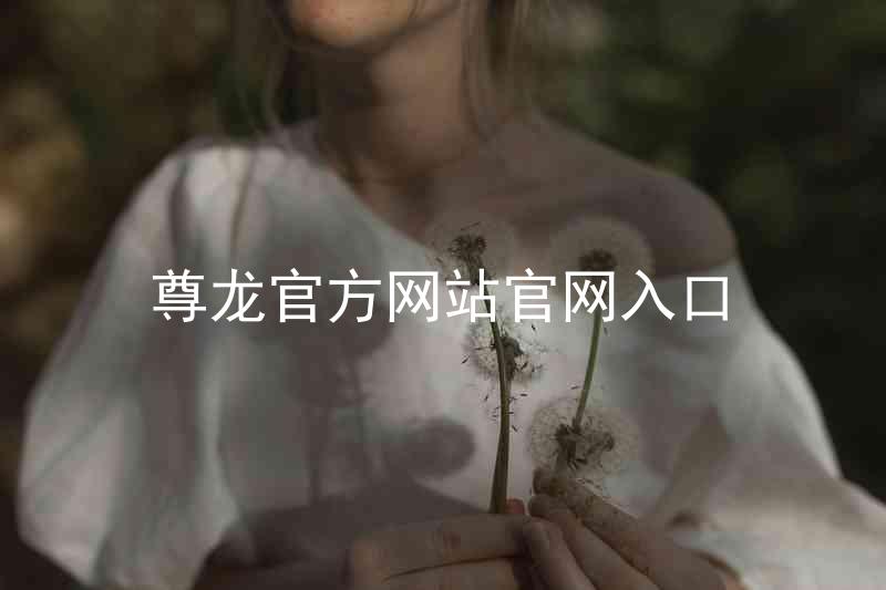 尊龙官方网站官网入口